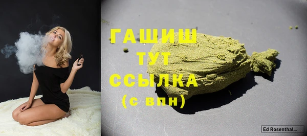 гидра Абаза