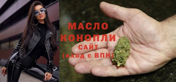 гидра Абаза