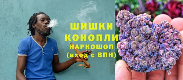 гидра Абаза
