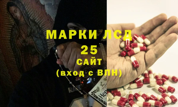 гидра Абаза