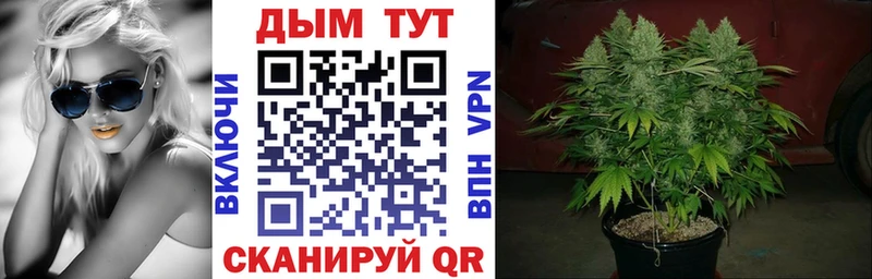 купить закладку  Керчь  Бошки марихуана конопля 